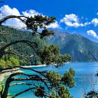 A Magical Experience in Jiuzhaigou– Travel Tips and Review 🍃 