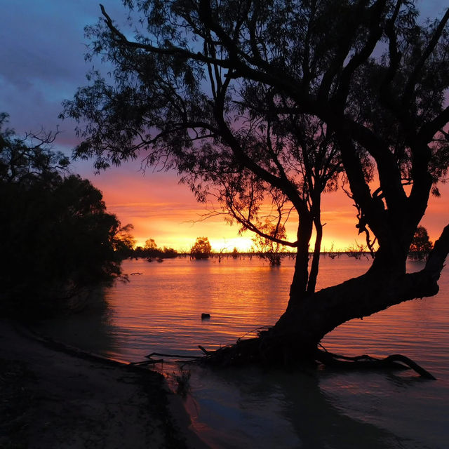 Darling River, New South Wales