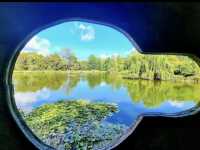 Tasmanian Arboretum