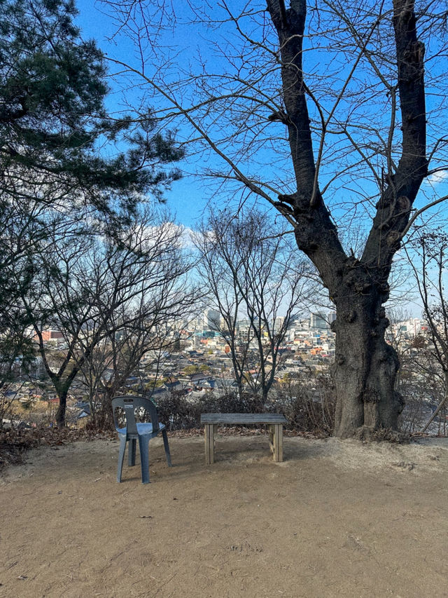 한옥마을을 한 눈에 내려다 볼 수 있는 곳