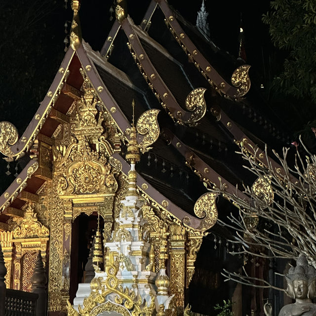 พามูวัดป่าแดด 🙏🏻