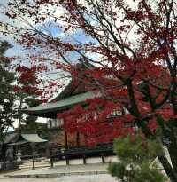 Imamiya Shrine