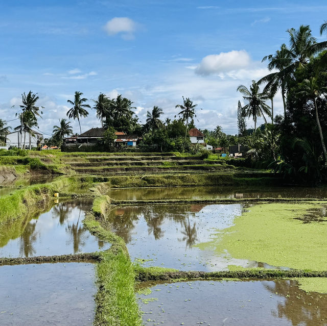 Headed to Bali for this..