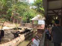 เที่ยวสวนสัตว์ขอนแก่นกลางขุนเขา🌳