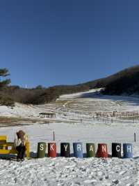 대관령 하늘 목장: 겨울의 낭만을 만끽하다 ❄️