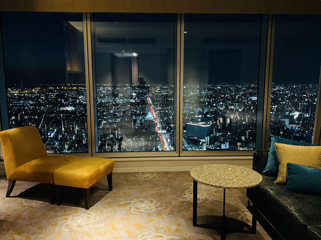 Luxury Stay at Marriott Miyako Hotel Osaka🌃