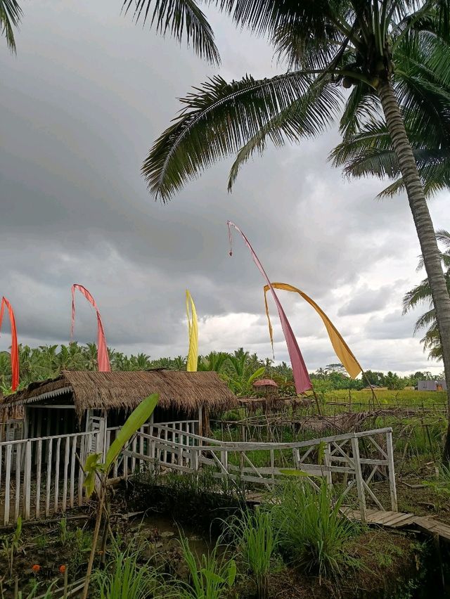 Joglo village of Subak Sok Wayah