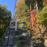 【八王子】気軽に登れる高尾山！