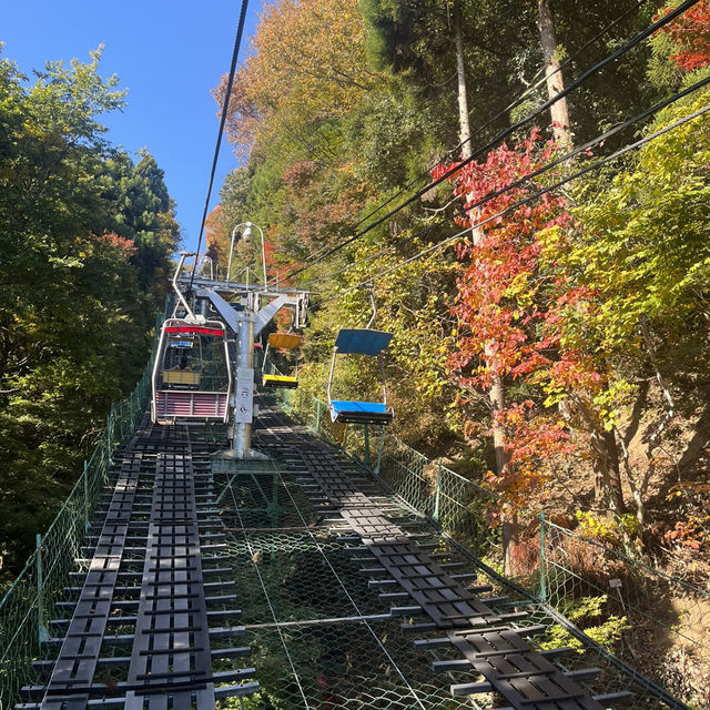 【八王子】気軽に登れる高尾山！