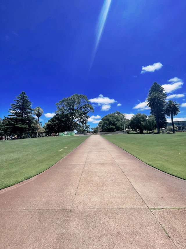 Unmatched Views & Remembrance at Kings Park🇦🇺🦘🙏🏼