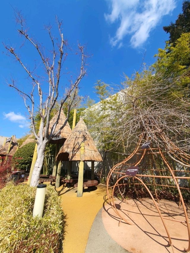 백화점에서 무료로 편하게 갈 수 있는 공룡 테마파크, 쥬라지🦖🌿