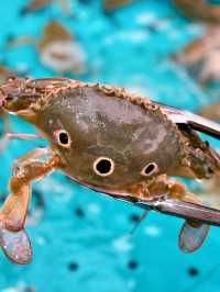 🐚🦐【 千海水產海鮮火鍋放題 】 🦀🦪