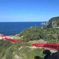 ☾︎山口☽︎ 海に向かって続く123の鳥居