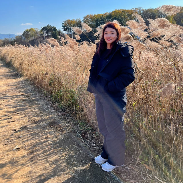 🇰🇷大邱✈️達城濕地生態學習館달성습지생태학습관