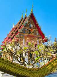 💓 วัดชมภูเวก