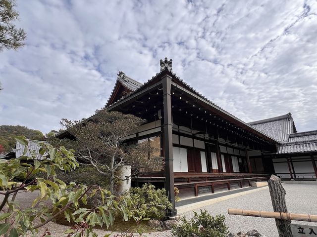 A Symphony of Colors — The Golden Glow of the Kinkakuji-Temple