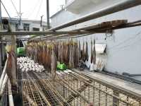 Venice of Hong Kong: A Journey Through Tai O Fishing Village