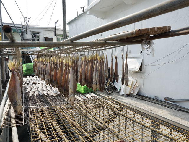 Venice of Hong Kong: A Journey Through Tai O Fishing Village
