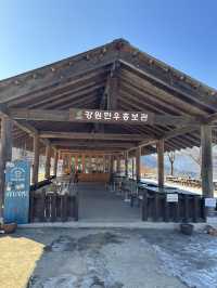 직접 먹이주기 체험을 할 수 있는 해피초원목장🤍