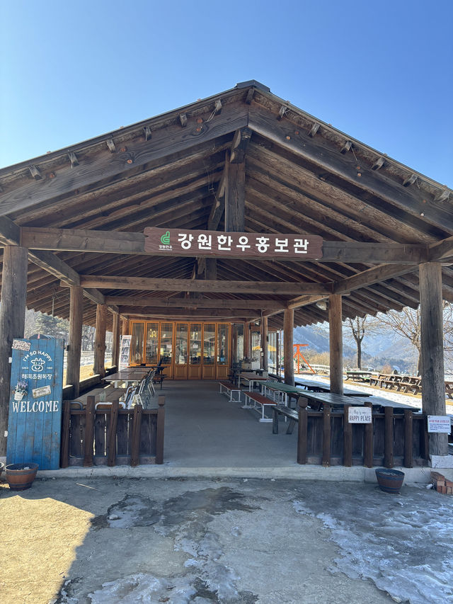 직접 먹이주기 체험을 할 수 있는 해피초원목장🤍