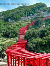 【海に臨む123基の赤い鳥居⛩️】お賽銭入るかなチャレンジも楽しめる絶景神社