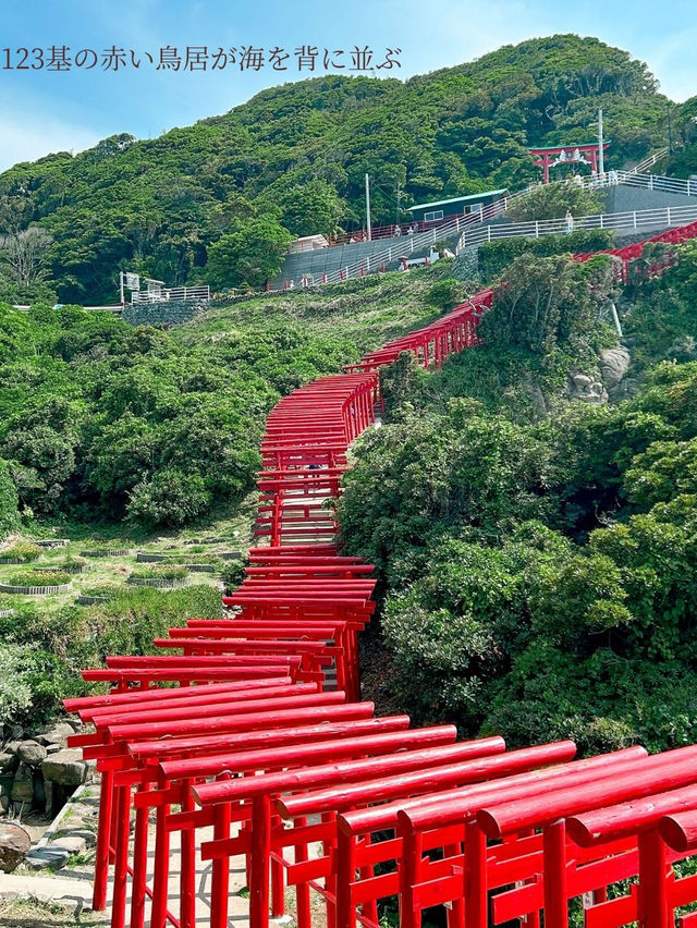 【海に臨む123基の赤い鳥居⛩️】お賽銭入るかなチャレンジも楽しめる絶景神社