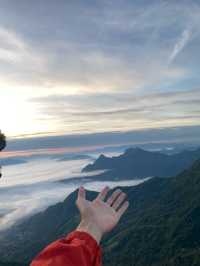 ภูชี้ฟ้า | เชียงราย ⛰️☀️🌳☁️