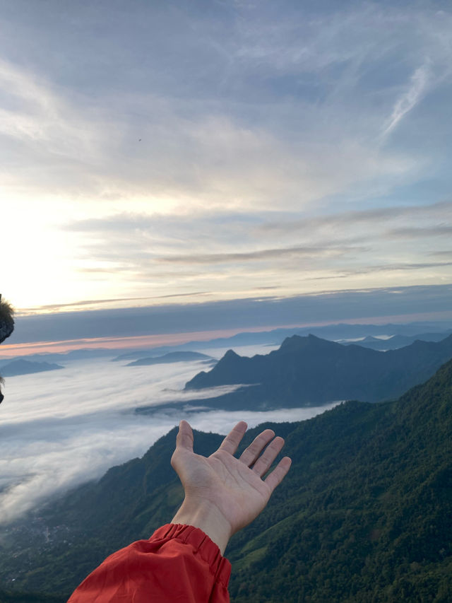ภูชี้ฟ้า | เชียงราย ⛰️☀️🌳☁️