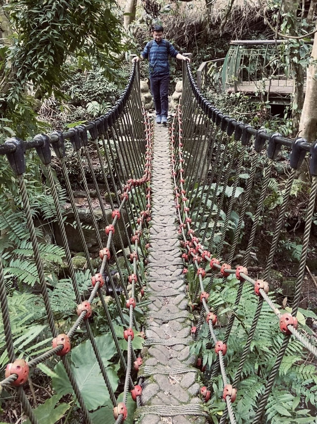 宛如走進宮崎駿的縮小版森林