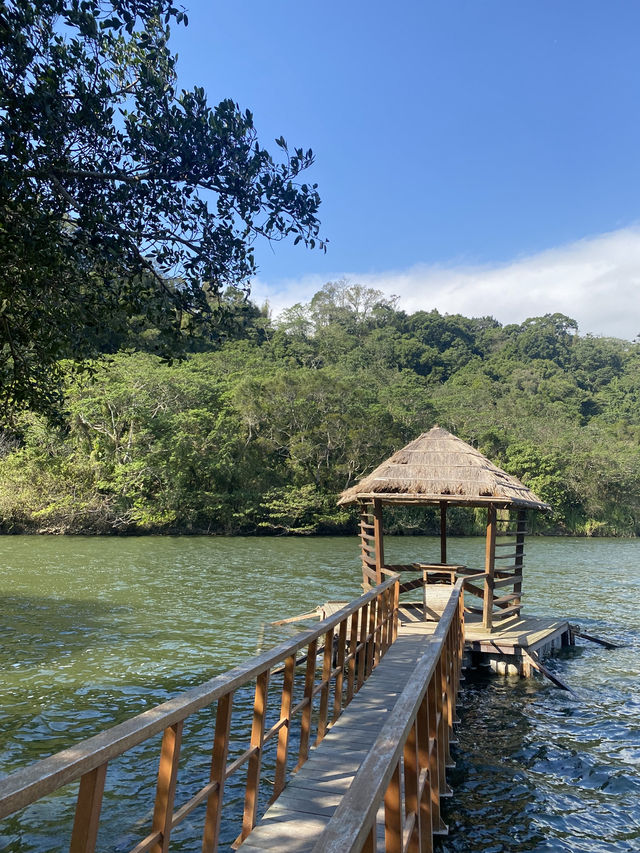 桃園 三坑自然生態公園 🏞️ 自然之景 山明水秀