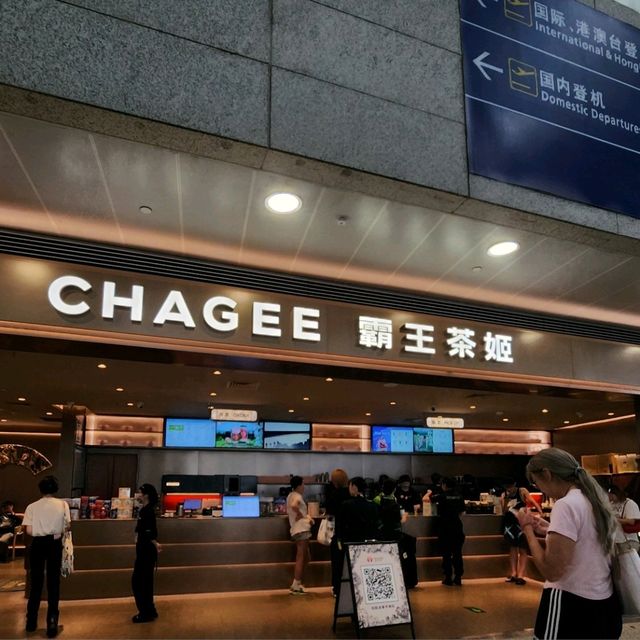 中國 上海浦東機場