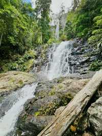 Journey Through Nature’s Wonderland: Warrie Circuit Adventure 🌿🌿