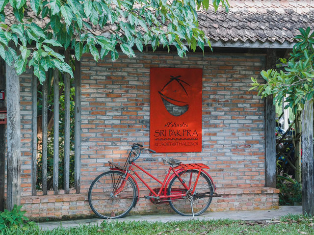 PHATTHALUNG 🌱🌤️