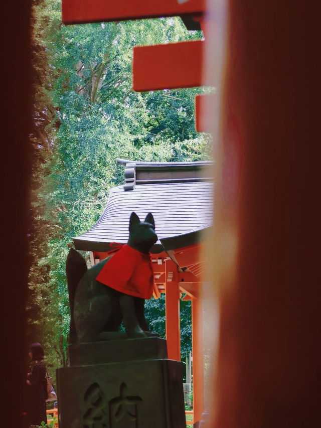 景點推薦：根津神社——東京近郊的千本鳥居與百年古韻