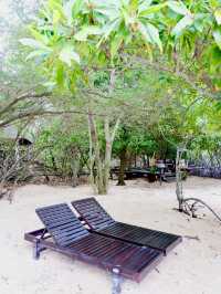 Menjangan Island; Bali’s Secret Dive Site