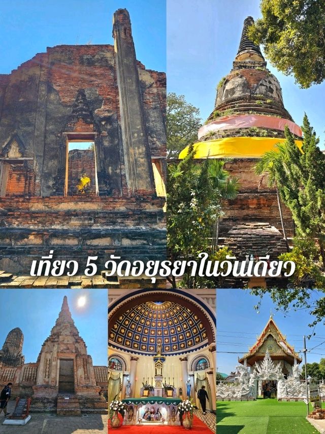 เที่ยว 5 วัดอยุธยาในวันเดียว ✨️