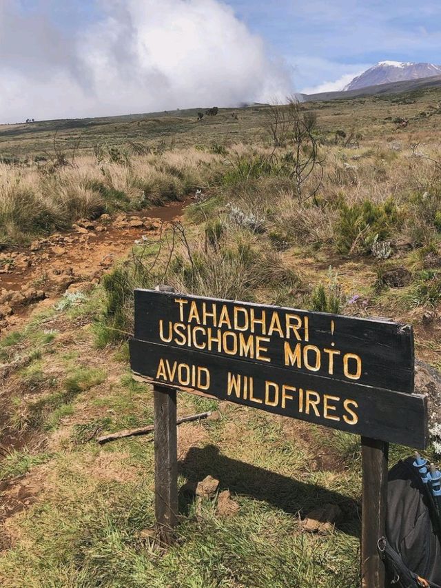 Skiing & Hiking in Uhuru Peak 🏔️