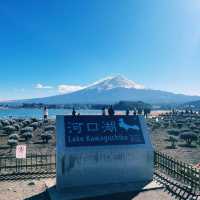 富士吉田市酒店分享