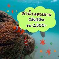 แจก แพลน เที่ยวดำน้ำแสมสาร 2 วัน 1 คืน