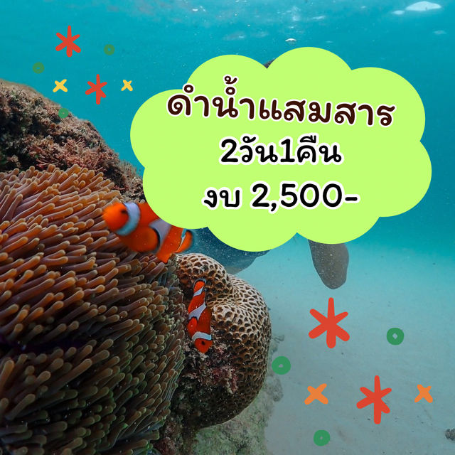 แจก แพลน เที่ยวดำน้ำแสมสาร 2 วัน 1 คืน