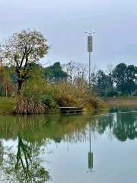 Luoshui Wetland Park: An Ecological and Cultural Haven
