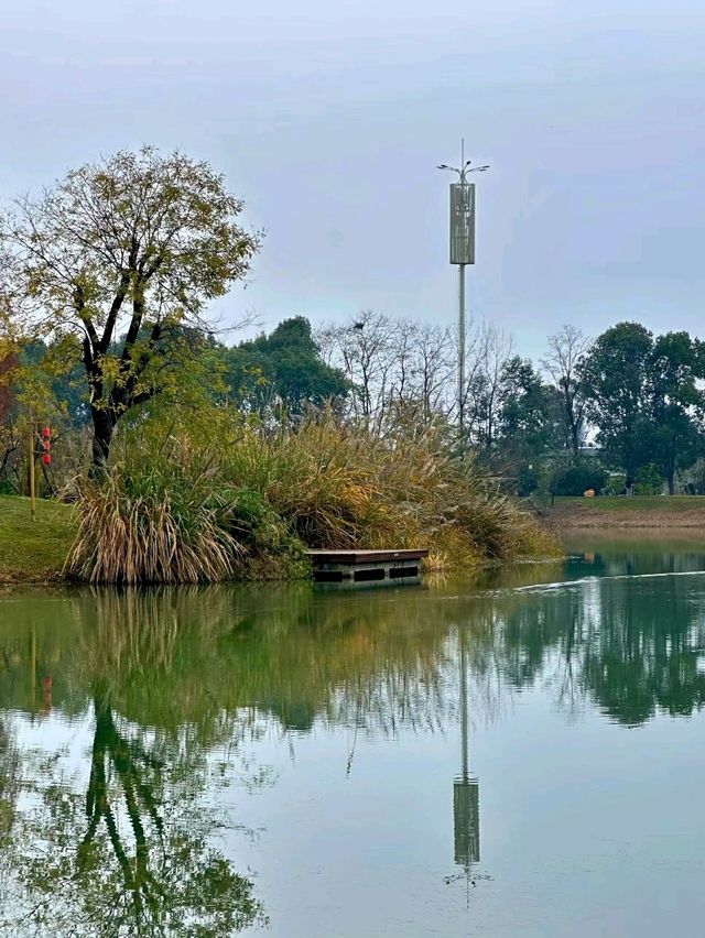 Luoshui Wetland Park: An Ecological and Cultural Haven