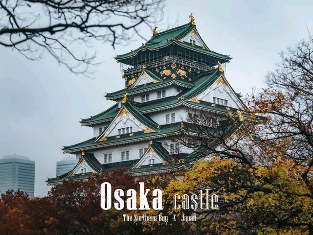 Osaka castle