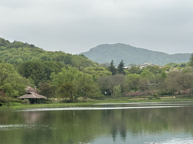 油畫一樣的靚景👍🏻👍🏻👍🏻