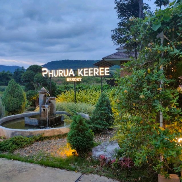 【ルーイ/タイ】畑の中のコテージ Phuruakeeree Resort