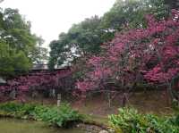 新竹公園