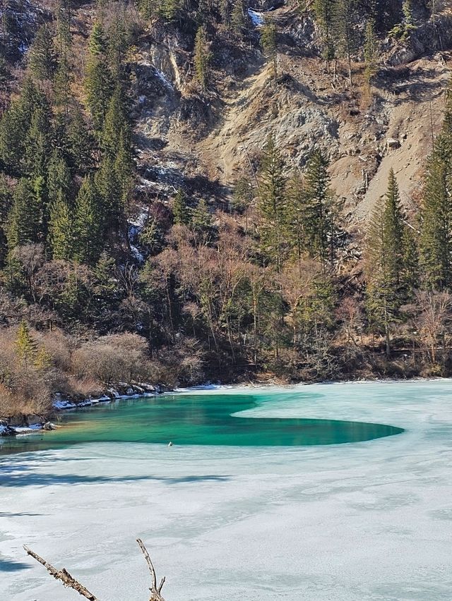 🌲🌳จิ่วจ้ายโกว (Jiuzhaigou สวรรค์แห่งเสฉวน)