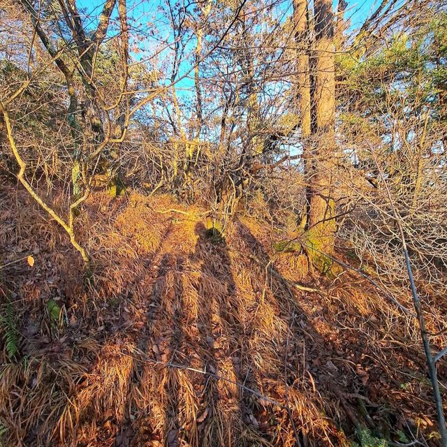 Jirisan National Park