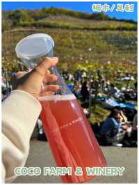 【栃木/足利】年に1度の収穫祭が楽しすぎた‼︎＊COCO FARM & WINERY＊