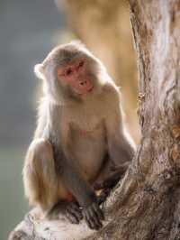係城門水塘 同🐒度過嘅一日